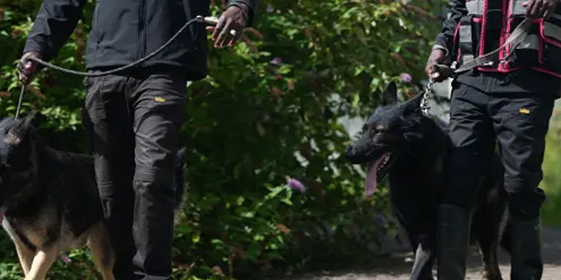 Canine Services